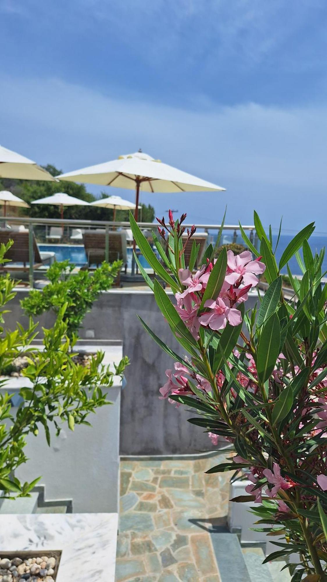 Sarti Thea Hotel Екстериор снимка