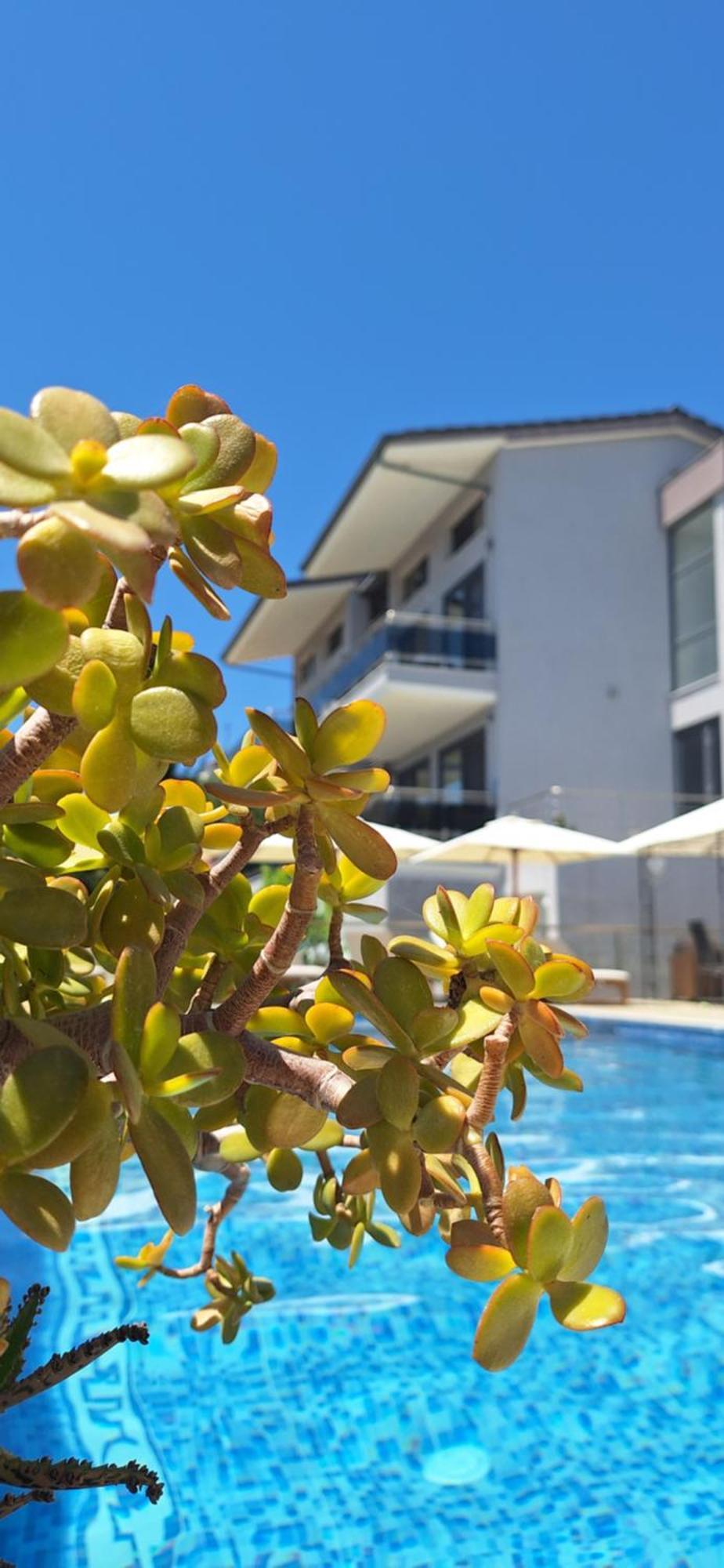 Sarti Thea Hotel Екстериор снимка
